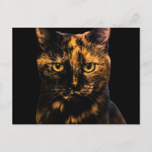 Cartão Postal Tortie Cat Love Design nº 2