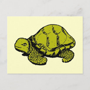 Cartão Postal Tortoise