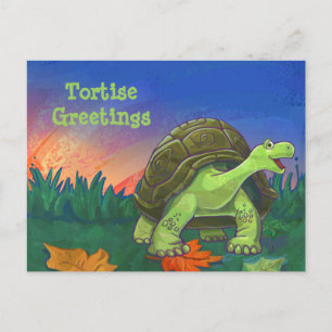 Cartão Postal Tortoise Stationery