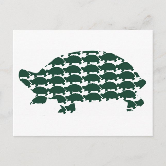 Cartão Postal Tortoises (Frente)