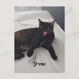 Cartão Postal Tortoiseshell Cat Tongue Licking Yum Postcards