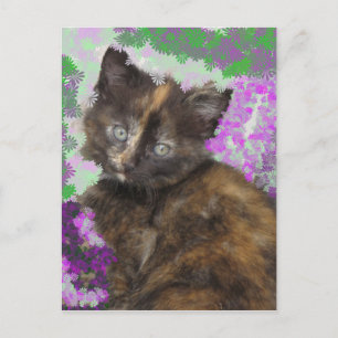 Cartão Postal Tortoisshell Kitten em Flores Gree e Roxos