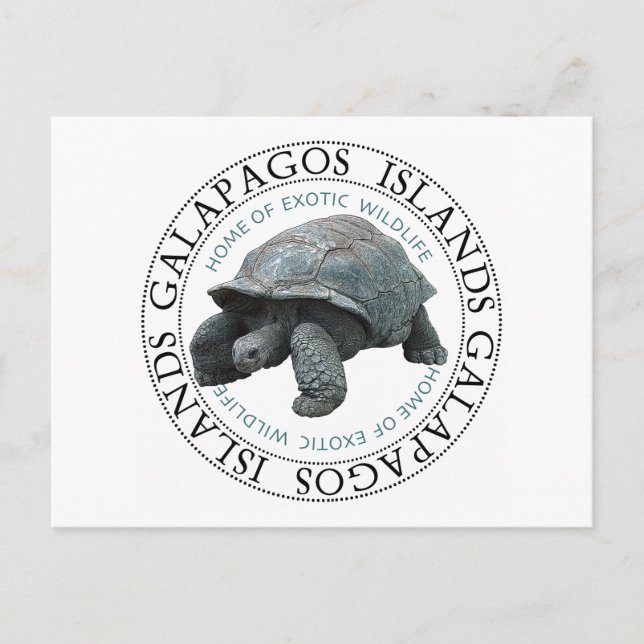 Cartão Postal Tortura das Ilhas Galápagos (Frente)