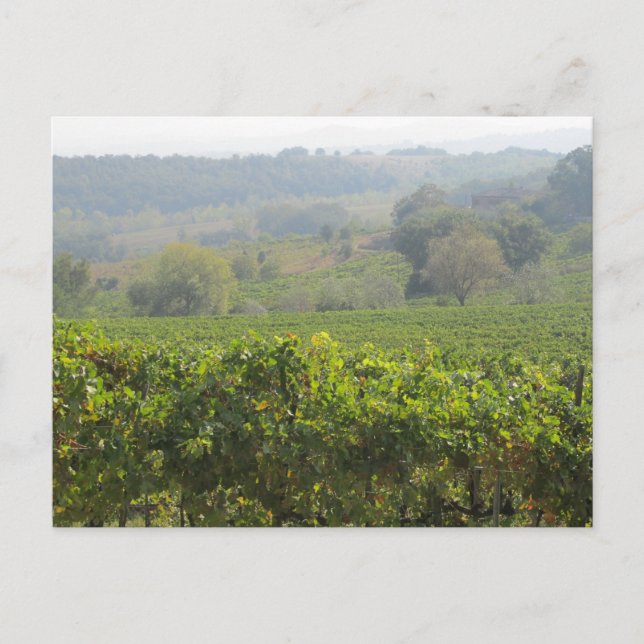 Cartão Postal Toscana (Frente)