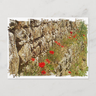 Cartão Postal Toscana, Itália. Ilustração.