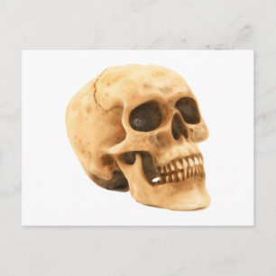Cartão Postal Totenkopf Schädel skull