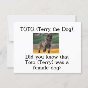 Cartão Postal Toto (Terry the Dog)