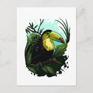 Cartão Postal Toucan