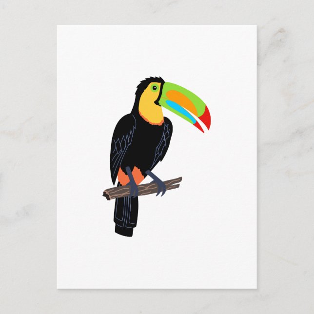 CARTÃO POSTAL TOUCAN BIRD (Frente)