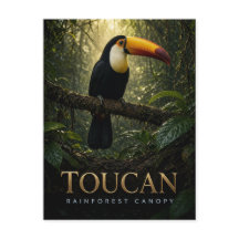 Toucan Dossel da Floresta Tropical Vida Selvagem A