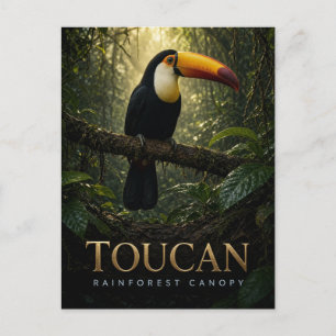 Cartão Postal Toucan Dossel da Floresta Tropical Vida Selvagem A