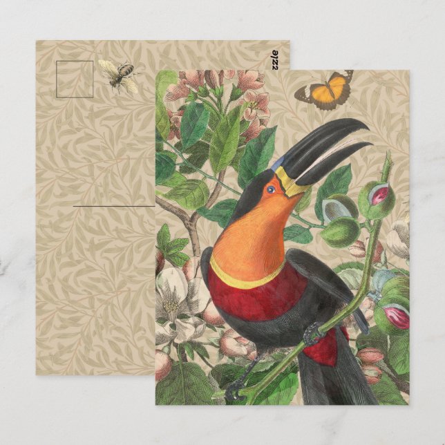 Cartão Postal Toucan Jungle Tropical Bird Beauful Antiguidade (Frente/Verso)