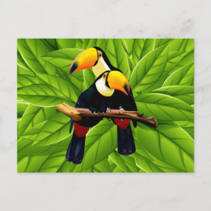 Cartão Postal Toucans exóticos