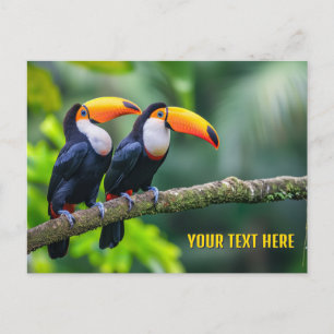 Cartão Postal Toucans tropicais de texto personalizado