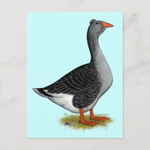 Cartão Postal Toulouse Goose Tufted