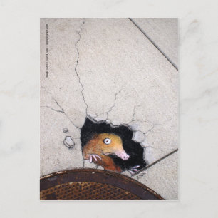 Cartão Postal toupeira