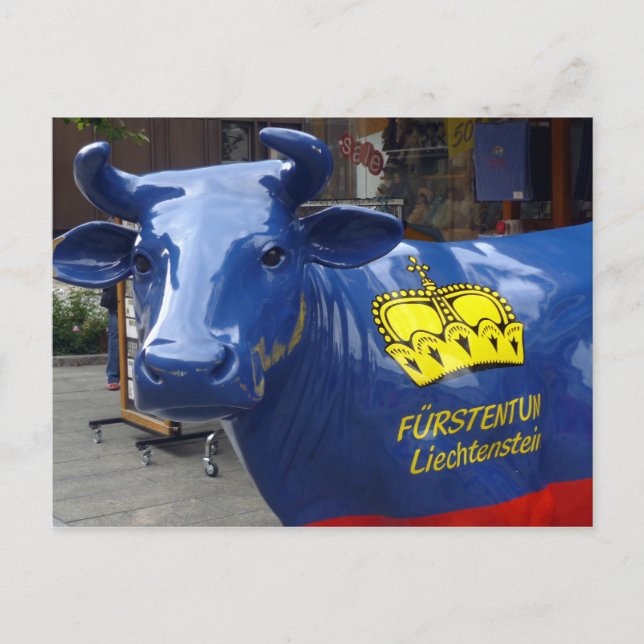 Cartão Postal touro do liechtenstein (Frente)
