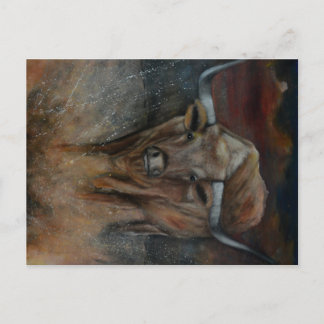 Cartão Postal Touro do Texas Longhorn