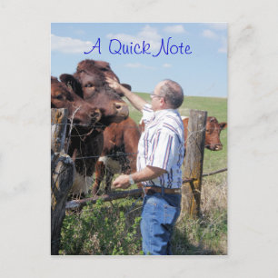 Cartão Postal Touro e vacas Pinzgauer - personalize