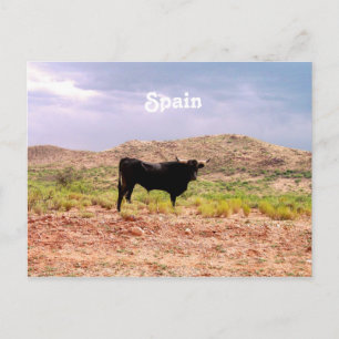 Cartão Postal Touro na Espanha
