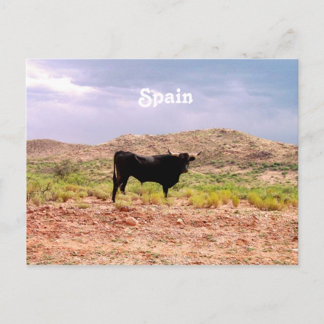 Cartão Postal Touro na Espanha (Frente)