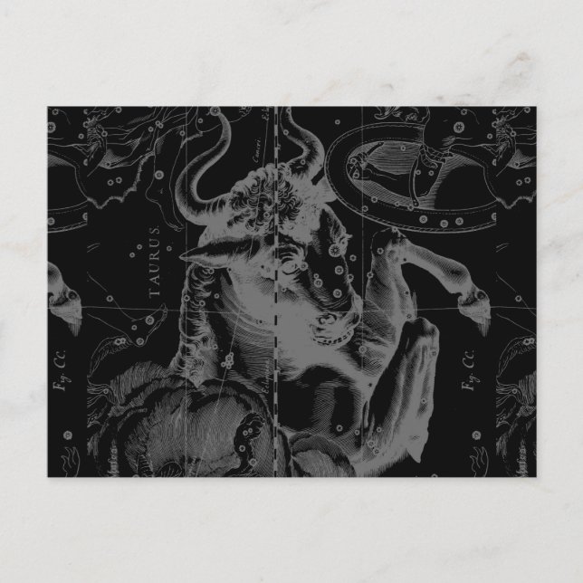 Cartão Postal Touro - Símbolo Constelação Hevelius cerca de 1690 (Frente)