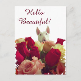 Cartão Postal Touro terrier com saudação de rosas - Olá Bela