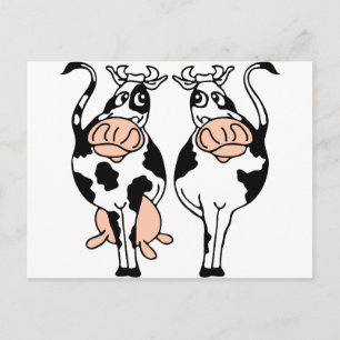 Cartão Postal touro-vaca-2.png