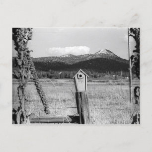 Cartão Postal TR Bluebird House