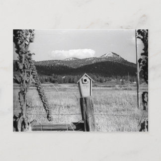 Cartão Postal TR Bluebird House