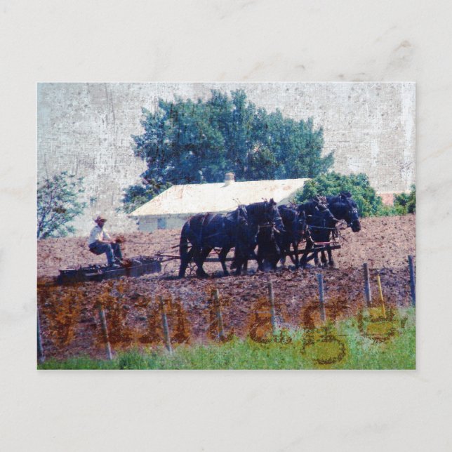 Cartão Postal Trabalho da equipe Vintage (Frente)