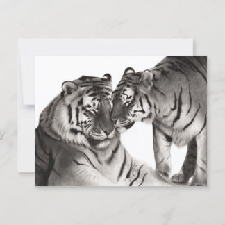 Cartão Postal Trabalho de arte de animais selvagens pintados à m