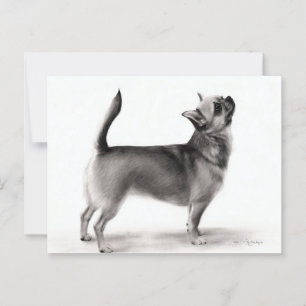 Cartão Postal Trabalho de arte de Cão Pintado Pintado na Mão Chi