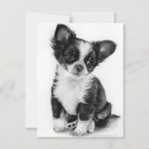 Cartão Postal Trabalho de arte de Chihuahua Puppy com mão desenh