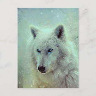 Cartão Postal Trabalho de arte de pintura de lobo-olhos-azuis