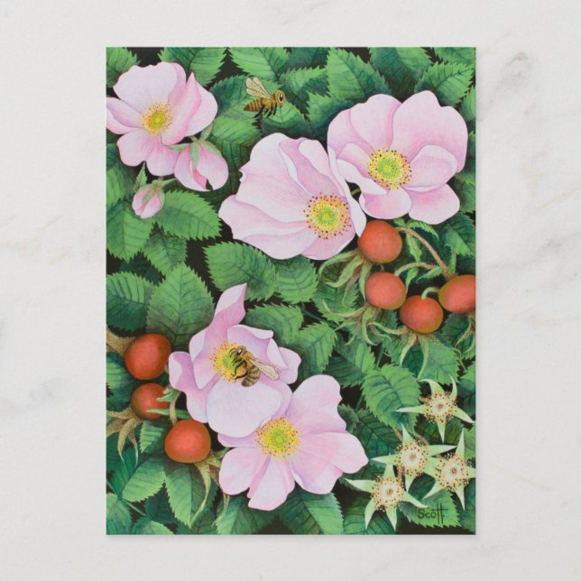 Cartão Postal Trabalho em equipe 2011 (Frente)