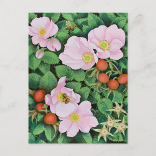 Cartão Postal Trabalho em equipe 2011