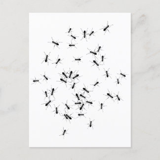 Cartão Postal Trabalho em equipe faz o Dream Trabalhar