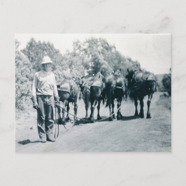 Cartão Postal Trabalhos de manhã (Frente)