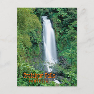 Cartão Postal Traços