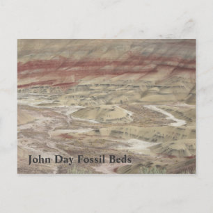 Cartão Postal Traços de cor