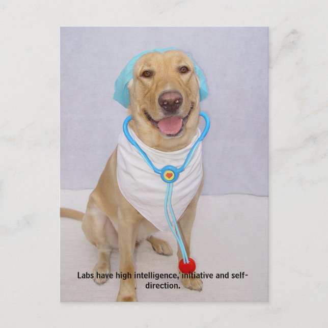 Cartão Postal Traços de laboratório - Alta inteligência (Frente)