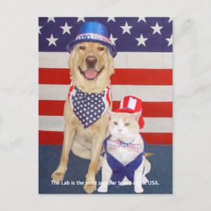 Cartão Postal Traços de laboratório - Populares