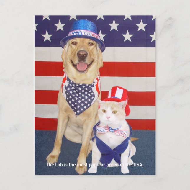 Cartão Postal Traços de laboratório - Populares (Frente)