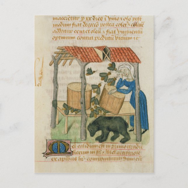 Cartão Postal Tractatus de Herbis" (Frente)