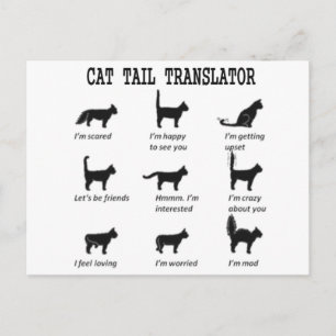CARTÃO POSTAL TRADUTOR DE RABO DE GATO