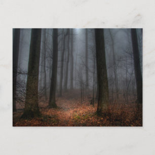 Cartão Postal Trajeto enevoado à montanha da parte superior lisa