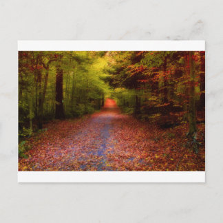 Cartão Postal Trajetos na natureza