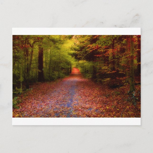 Cartão Postal Trajetos na natureza (Frente)