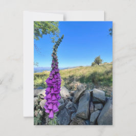 Cartão Postal Tranquilidade do campo inglês